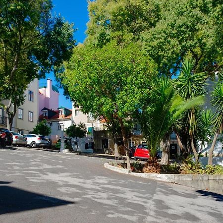 Cozy House By Famous Flea Market With Terrace Lisboa Ngoại thất bức ảnh